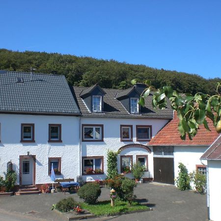 Ferienhof An Der Lay Kerpen  Exteriör bild