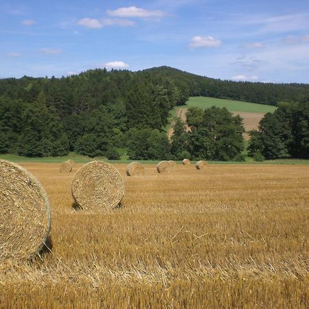 Ferienhof An Der Lay Kerpen  Exteriör bild