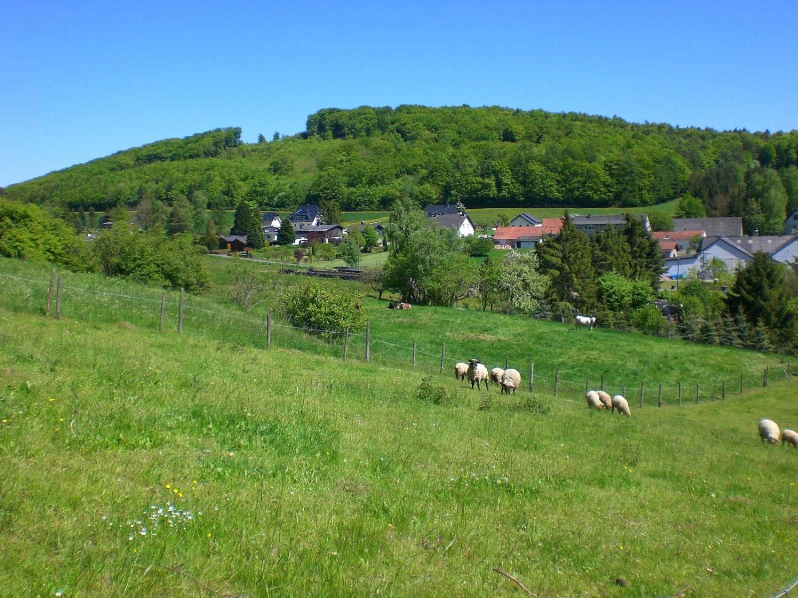 Ferienhof An Der Lay Kerpen  Exteriör bild