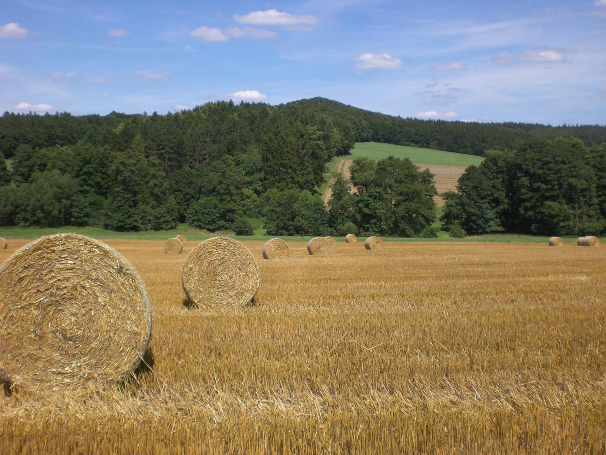 Ferienhof An Der Lay Kerpen  Exteriör bild