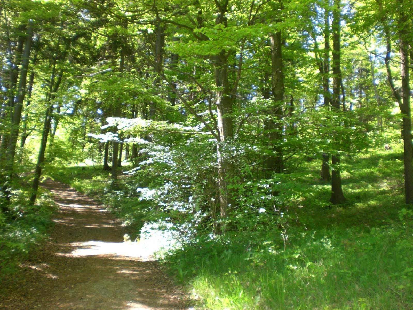 Ferienhof An Der Lay Kerpen  Exteriör bild